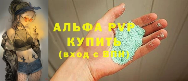 спайс Данков