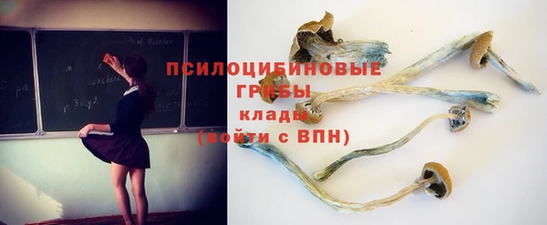 ALPHA PVP Дегтярск