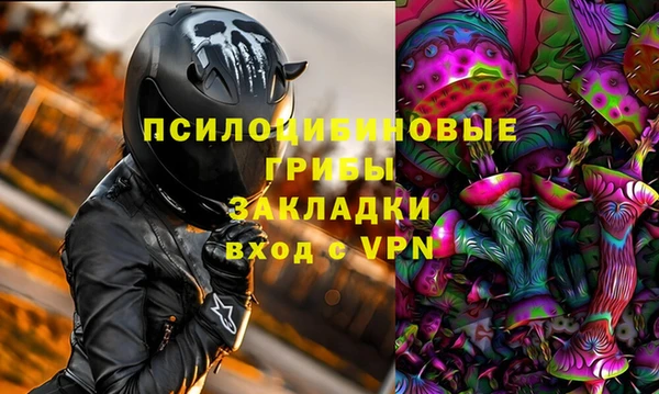 спайс Данков