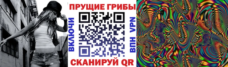 Галлюциногенные грибы MAGIC MUSHROOMS  где найти наркотики  Луховицы 