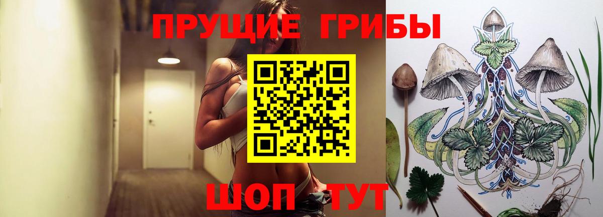 Галлюциногенные грибы Cubensis Луховицы