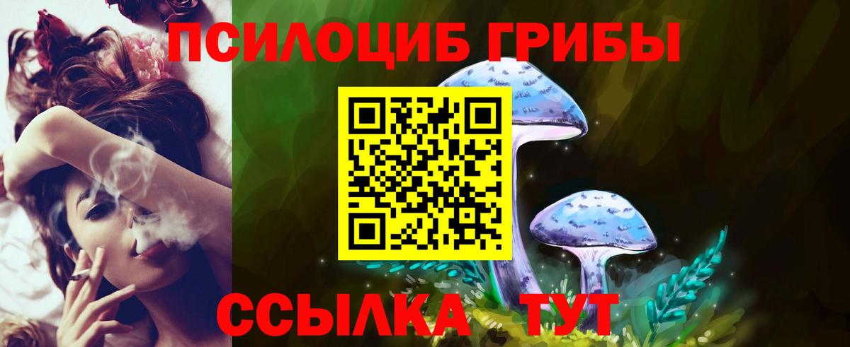 Луховицы  Псилоцибиновые грибы мухоморы  где найти наркотики  Галлюциногенные грибы ЛСД  Вход с VPN 